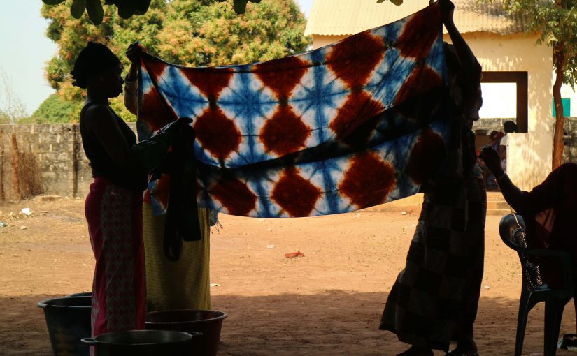 Bloggen Resa Medvetet skriver om Gambiagruppernas utflykt